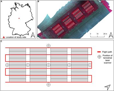 Prediction of Biomass and N Fixation of Legume–Grass Mixtures Using Sensor Fusion